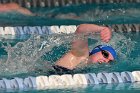 Swimming vs Babson  Wheaton College Swimming & Diving vs Babson College. - Photo By: KEITH NORDSTROM : Wheaton, Swimming